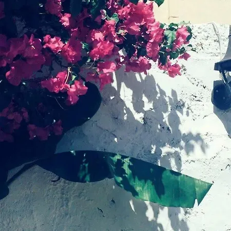 The Dragon Of Rhodes Hotel